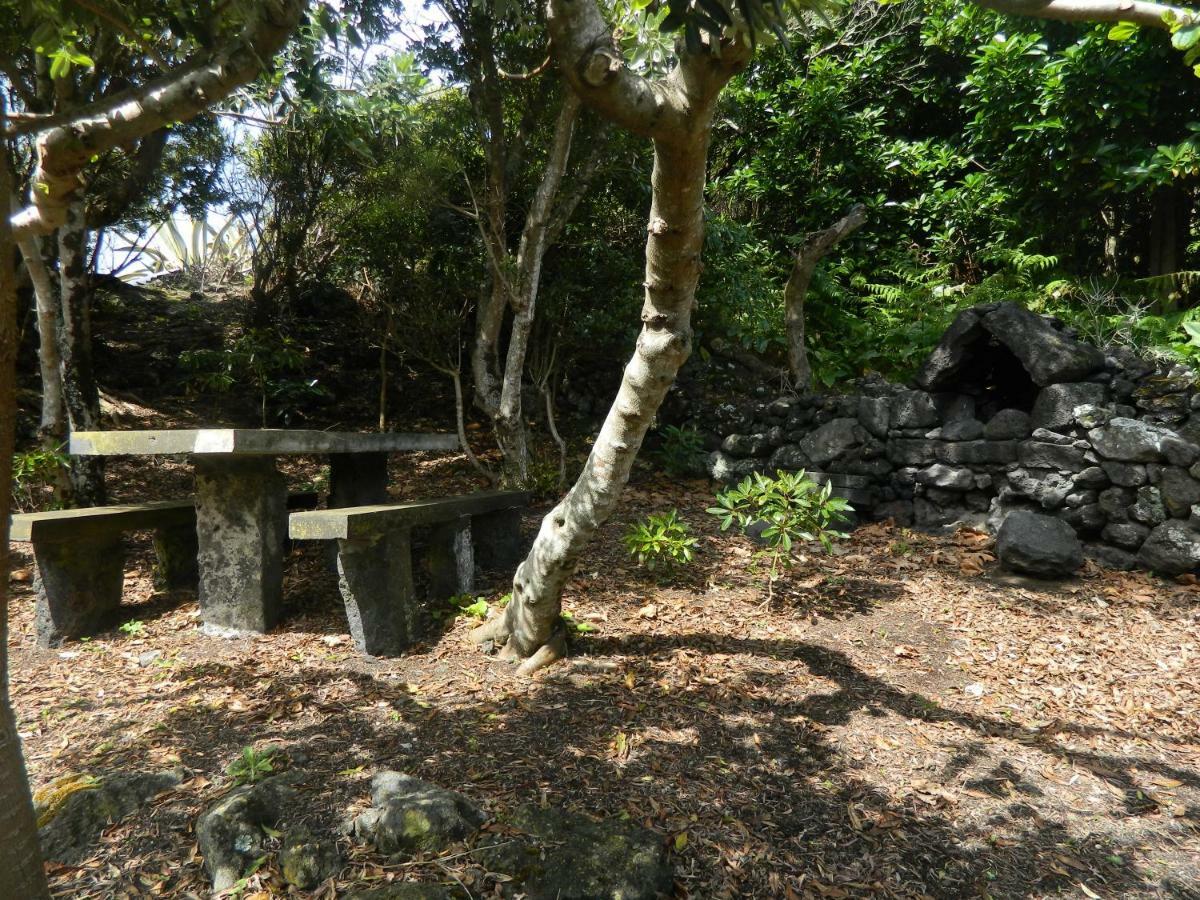 Vila Adega Ninho Da Cagarra Calheta de Nesquim Exteriér fotografie