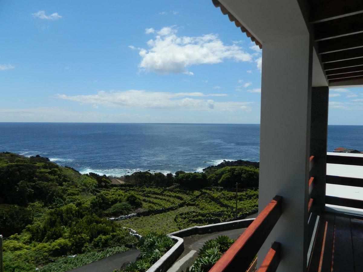 Vila Adega Ninho Da Cagarra Calheta de Nesquim Exteriér fotografie
